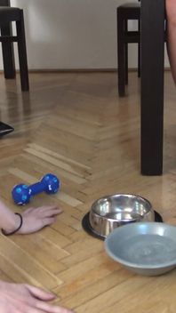 Slave Girl Lexi Feedong of Floor