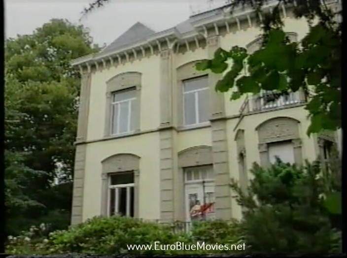 Euro Blue Movies: Hot Business 1993