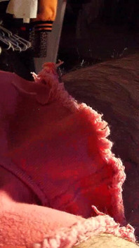Intrusive close up pink cock.wmv