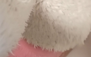 Sabina Trans: Tebak siapa aku?