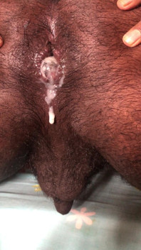 Sri Lankan Ass Cum Dripping