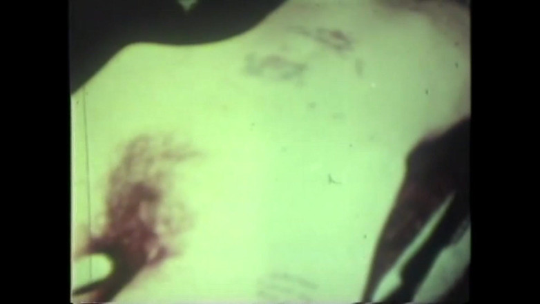 Vintage Megastore Full hd: Foder selvagem nojenta