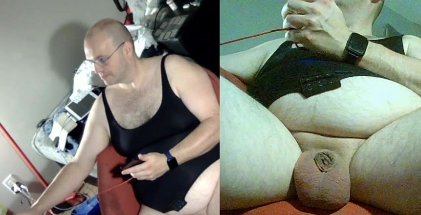 Caressonnous: Its Shell में कछुआ