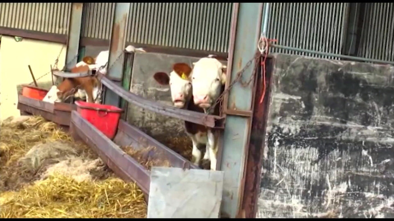 Purzel Official: Tempatkan saya