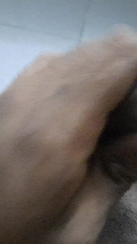 Lust Jerking off