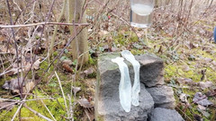 Idmir Sugary: Dělání se ze dvou kondomů naplněných poté, co jsem byl...