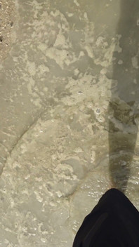 Barefoot in the September North Sea in Wangerland