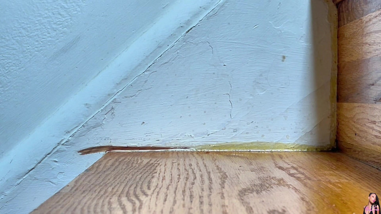 Pink Foxx: Merdiven Yukarı Ve aşağı Yürüyüş