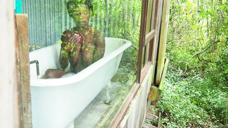 Black Swan: Selvaggia Nella Cima Degli Alberi