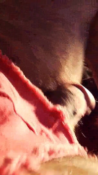 Intrusive close up pink cock.wmv