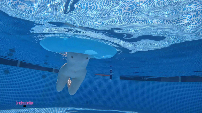 Destination Kat: Onder het water