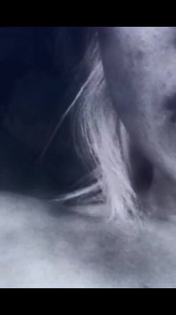Dark Desires - Women's Dirty Fantasies #1
