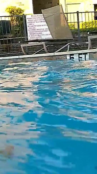 Couple Underwater Diving and Swimming