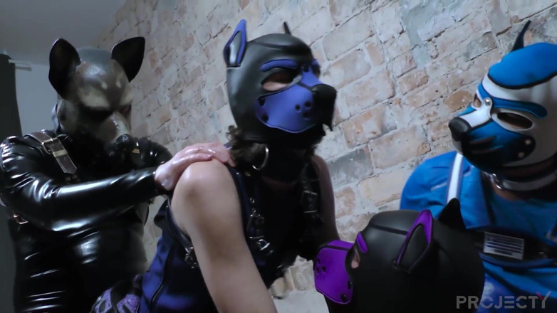 Project Y studios: 4some pup play homemade