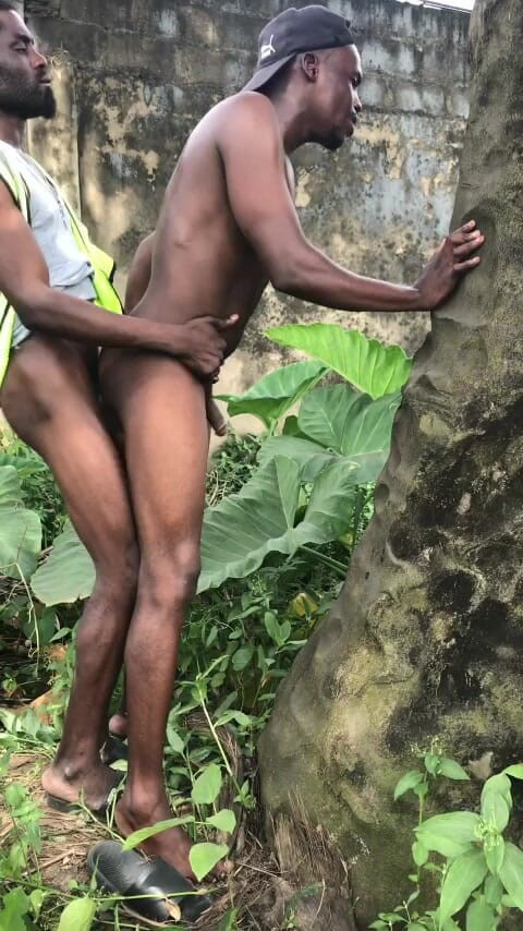 Sexydaddy: 야자수 뒤의 야외 섹스는 농장입니다