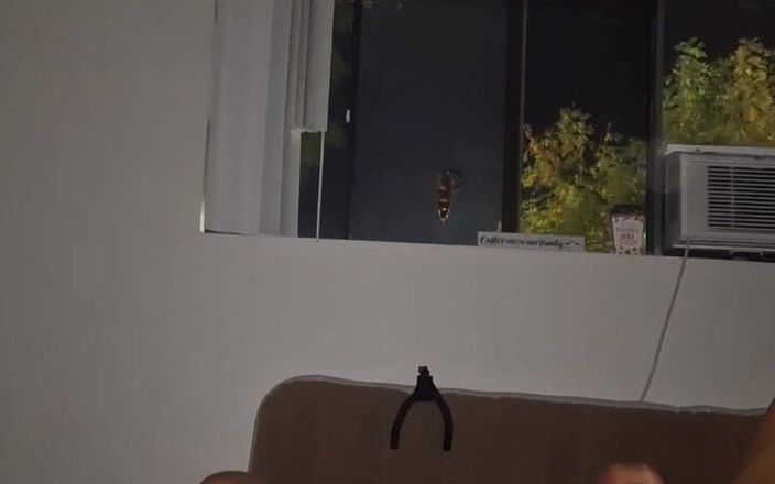 LordDashunKH: Dương vật giả đêm khuya &amp; Wank Sesh