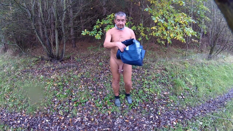 Andy: Wet Day in the Woods