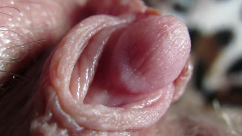 Cuteblonde666: Duża kompilacja łechtaczki 2