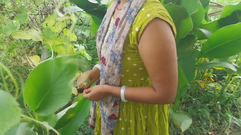 Pooja raniji: Giardino nella foresta indiana vicino a casa mio giardino fuori...