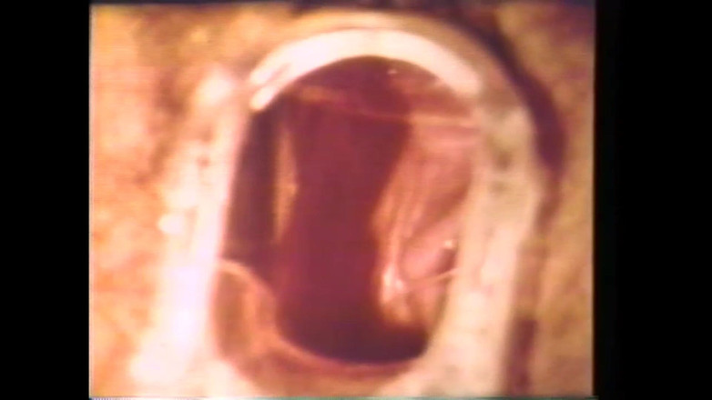 The Unforgettable: Dottore Pervertito (parte 2)