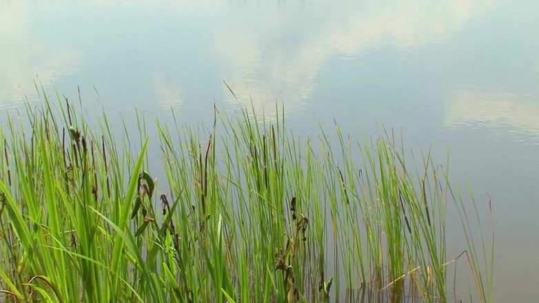 Videos Francaises: Awek blonde dari Perancis bermain dengan pepeknya dalam sesi luar