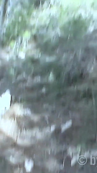 Sperma menelan burung belatuk meniup zakar