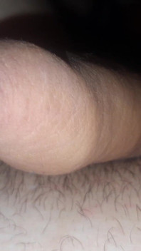 Day Dick