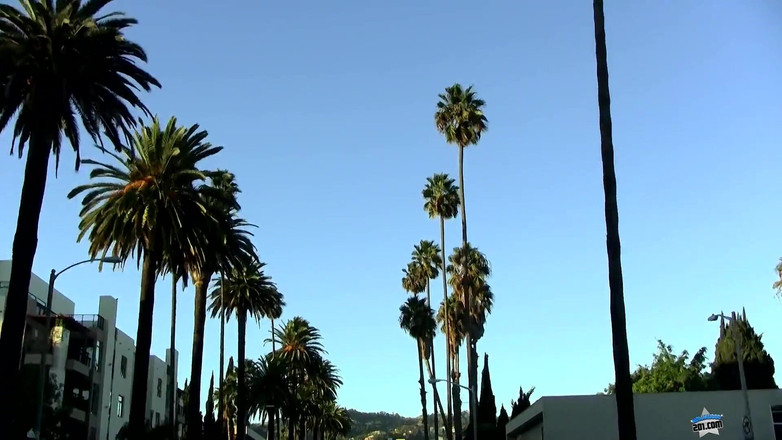 Hollywood 201: Episodio 1: las prisas