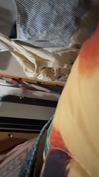 Šťastní fanoušci mají sex s Danae a Lacey