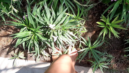 Fetish intimmedia: Milf con sexy piedi forti all'aperto