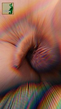 Here Is My Penis and Balls Part One