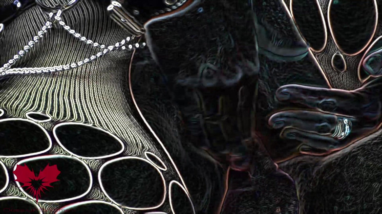 Close Up Extreme: Pták je ošukaný paní. Používá ho, jak se jí zlíbí....