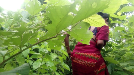 Kumari Queen ji: 印度德西村的年轻已婚夫妇在家里不能玩得很开心，所以在丛林里玩得很开心