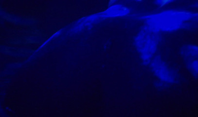 CBD Media: Hot aliens with big tits having wild lesbian sex