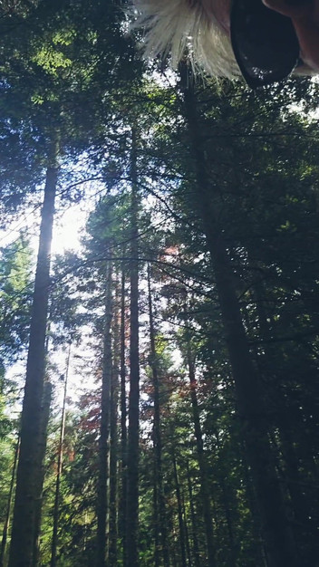 Sofy13: Cuarto día de vacaciones, caminé por el bosque buscando un...