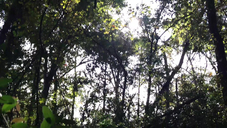 Arthur Eden aka Webcam God: POV nature trek (4K)