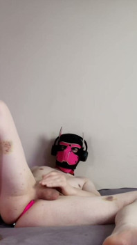 Needy Pet Jerks off with His Toy