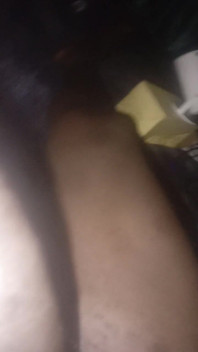 This How BBC Squirts Cum Flow