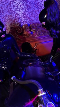 The Inflated Gimp