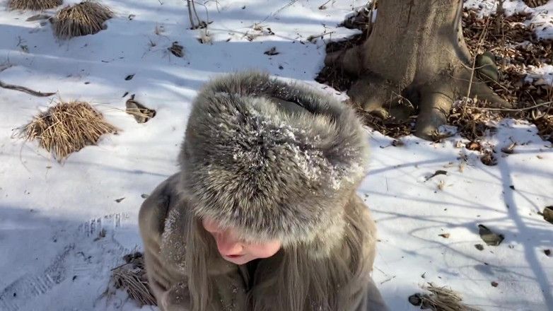 Vilu_and_Mi: Vilu vidish sta succhiando il cazzo nella foresta invernale