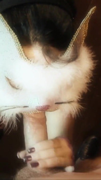 Jodie James cat plays with her favourite cock