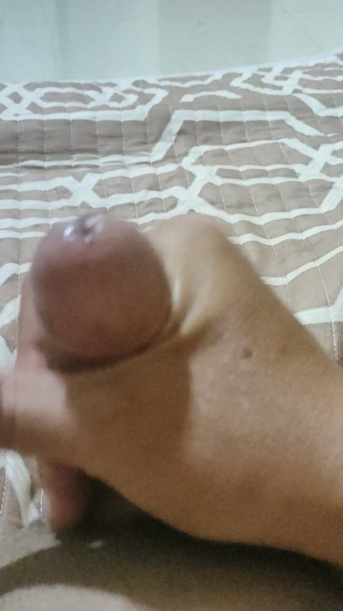 ArchAss: Still Hunger for Collab!