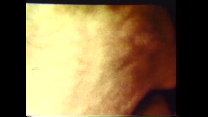 Vintage megastore: Harry Reems na pláži