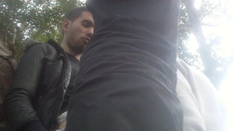 Robyn 3Some: Utomhussex