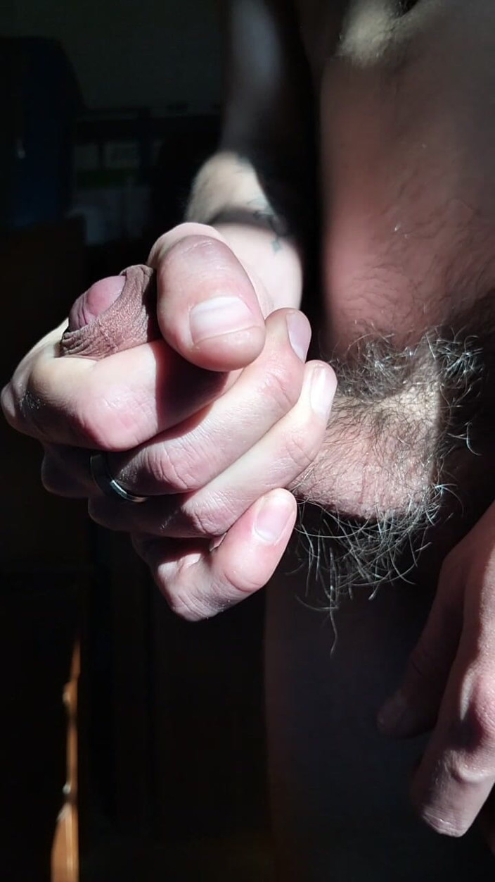 Mr963: Sát mého ptáka