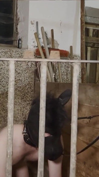 Let's Ride Him! Perverted Slave Dominated by Tranny Dom in Stable!