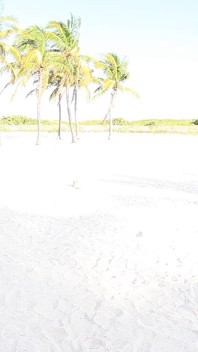 Beach Bangin Natalia