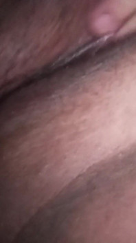 My Pussy