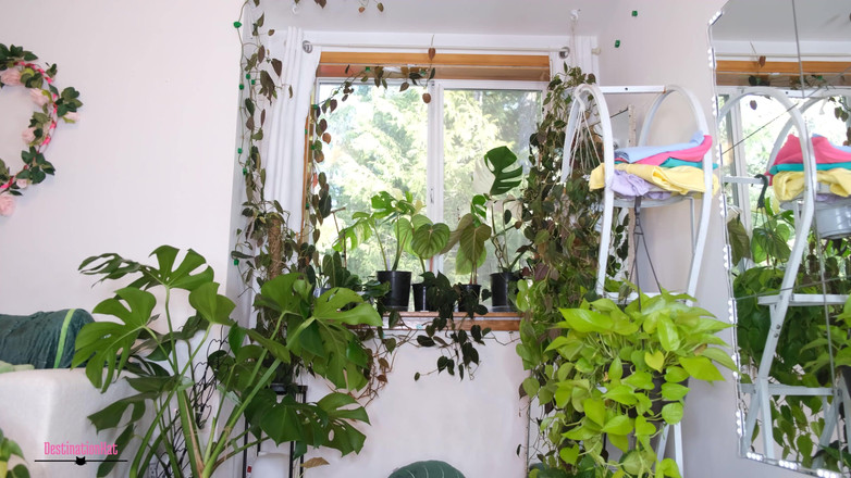 Destination Kat: Lebih banyak pekerjaan untuk editor saya