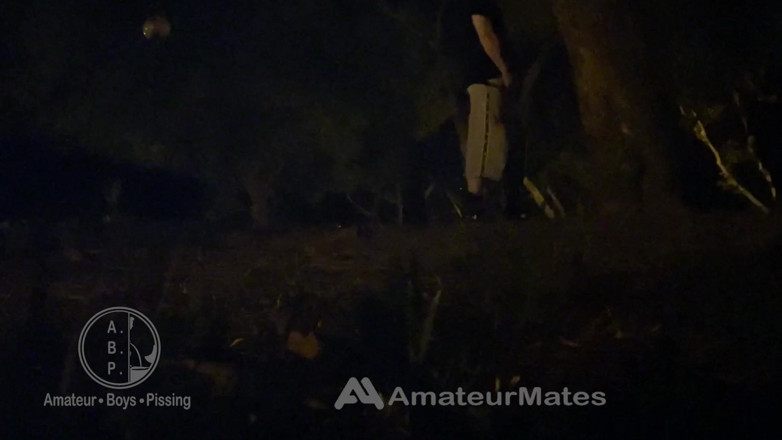 AmateurBoysPissing: Amateur Straight Boy Caught Pissing in a Park, at Night